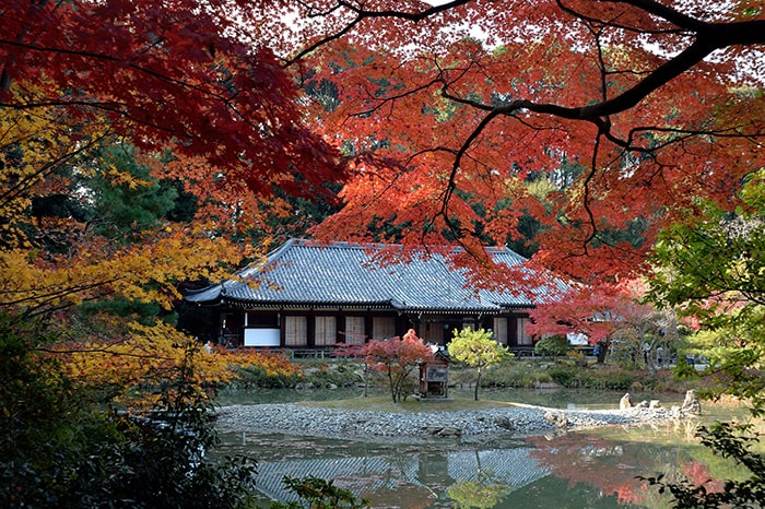 浄瑠璃寺本堂    ⓒ一般社団法人 木津川市観光協会