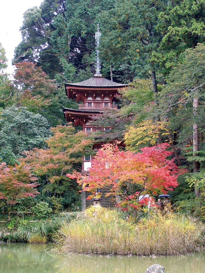 浄瑠璃寺三重塔    ⓒ一般社団法人 木津川市観光協会