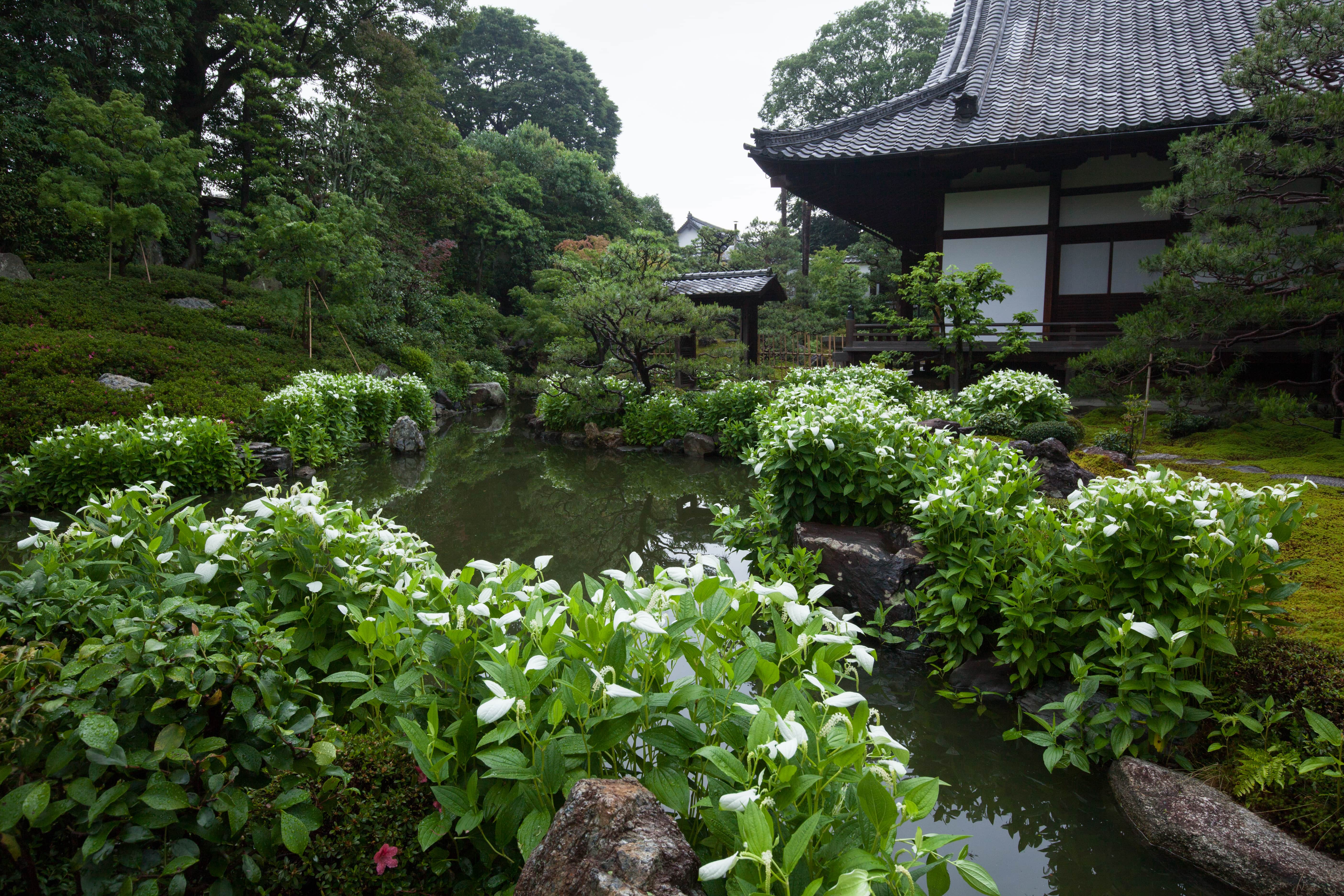 京都/近畿日本ツーリスト