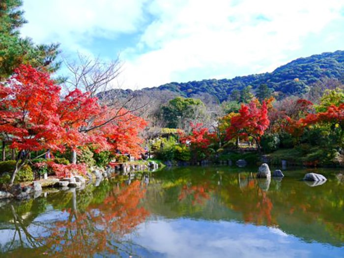公園の池と紅葉　Ⓒ京都市メディア支援センター