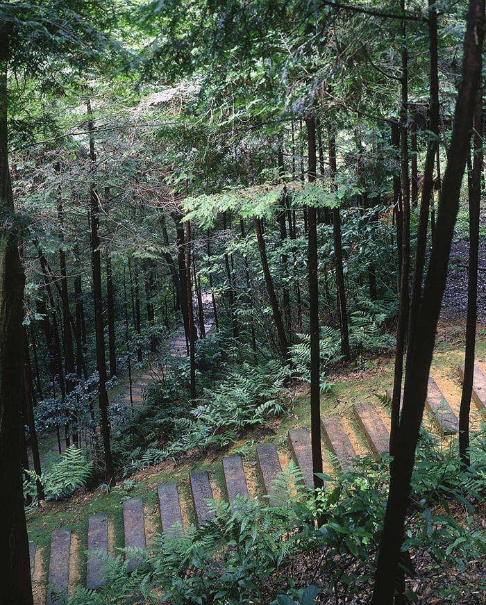 ウェスティン都ホテル京都「野鳥の森・探鳥路」