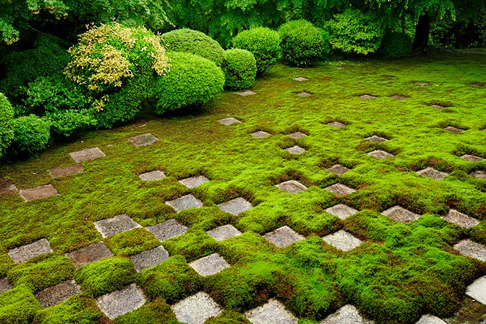 東福寺