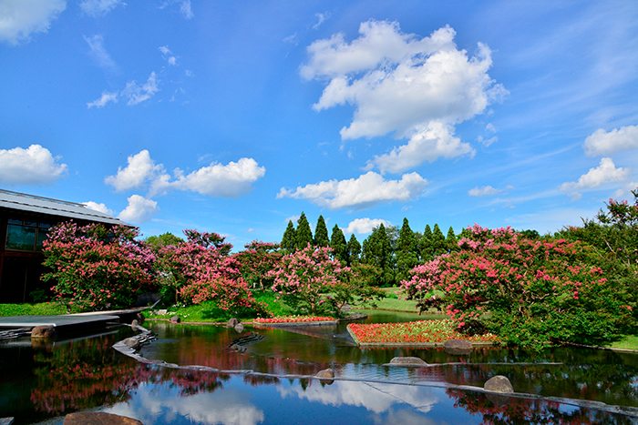 梅小路公園