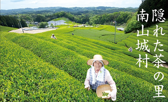 道の駅 お茶の京都 みなみやましろ村