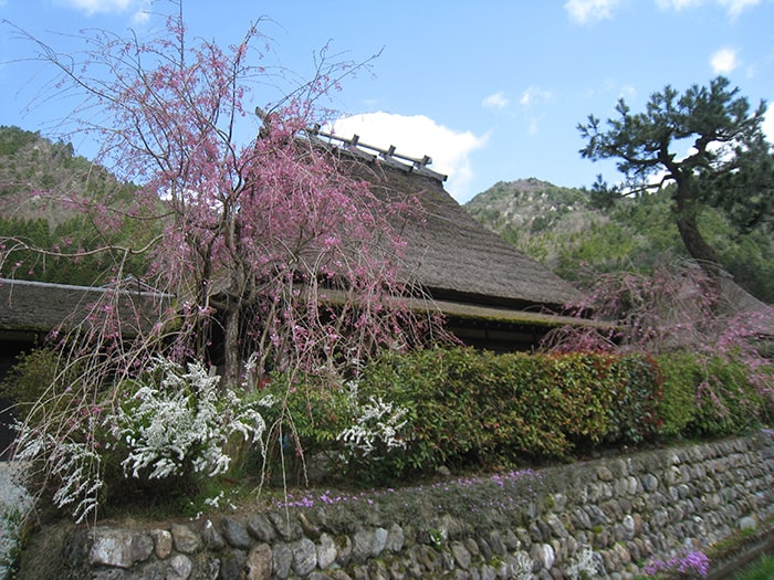 美山かやぶきの里 北村