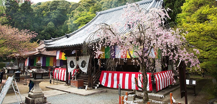 天王山 宝積寺