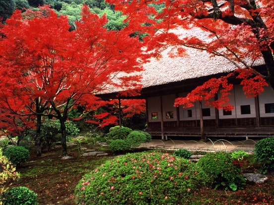 紅葉イメージ（11月頃）　写真提供：佐賀県観光連盟