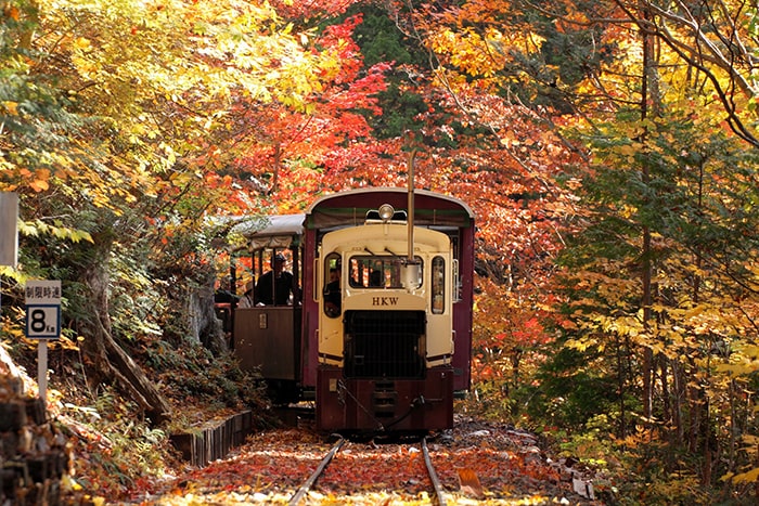 赤沢森林鉄道