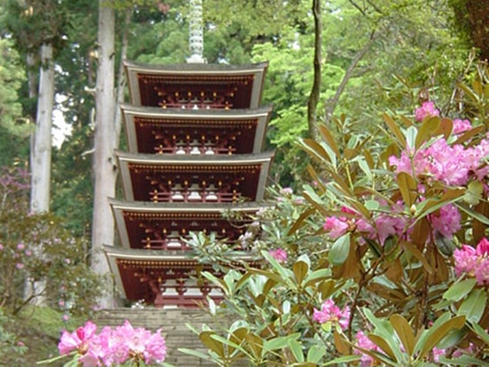五重塔 （4月下旬～5月上旬）　写真提供：一般財団法人 奈良県ビジターズビューロー