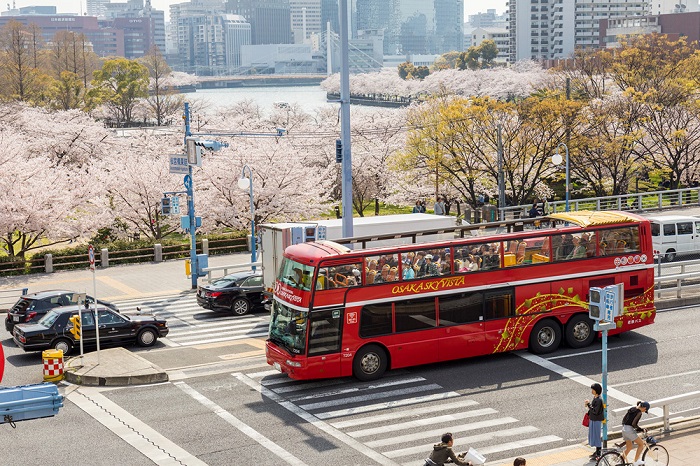 OSAKA SKY VISTA