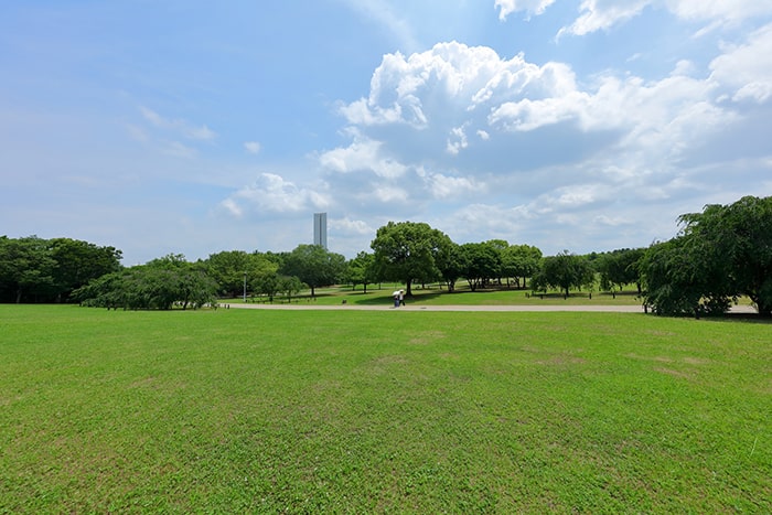 大仙公園