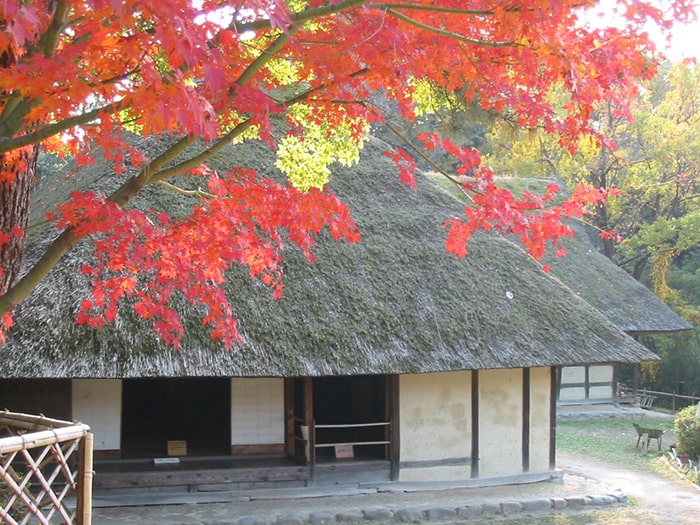 日本民家集落博物館
