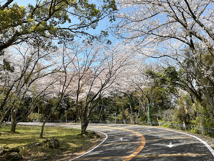 鏡山展望テラス