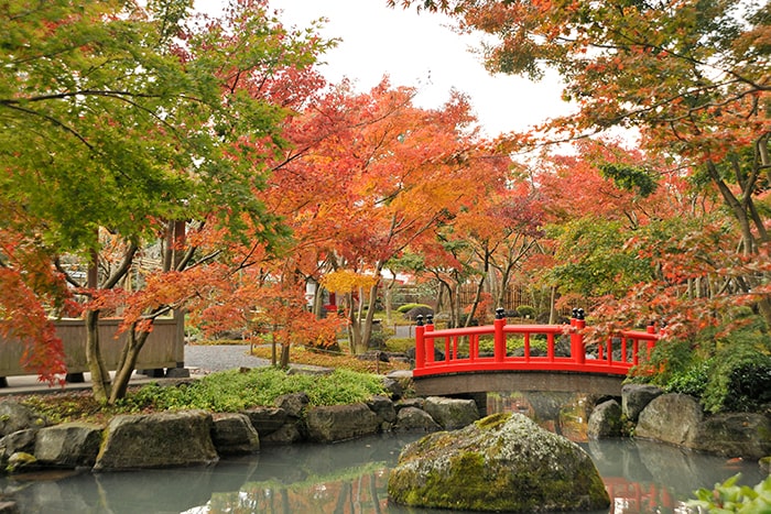 祐徳稲荷神社