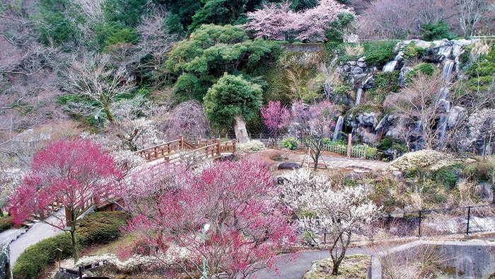 熱海梅園