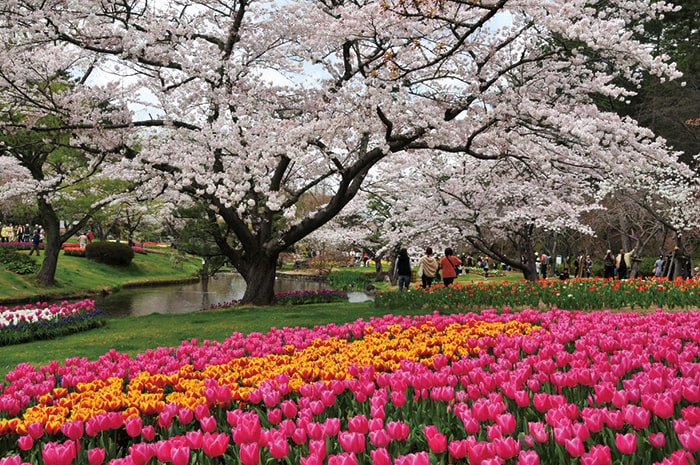 はままつフラワーパーク（花フェスタ）