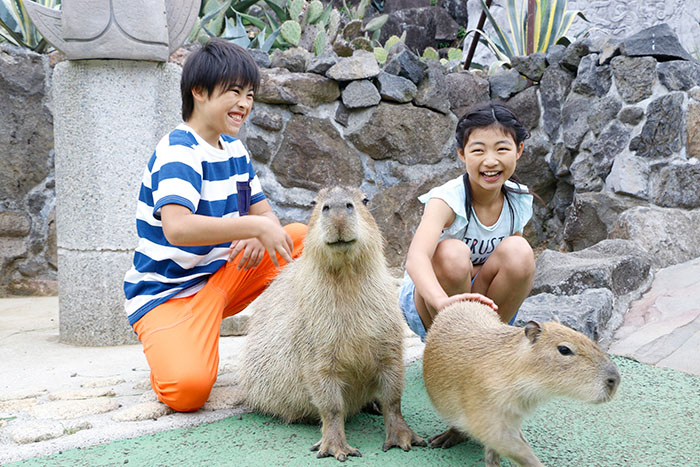 伊豆シャボテン動物公園