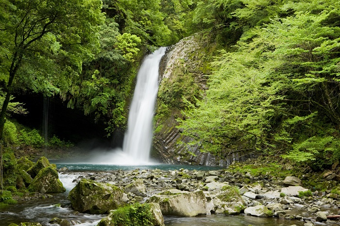 浄蓮の滝　写真提供：静岡県観光協会