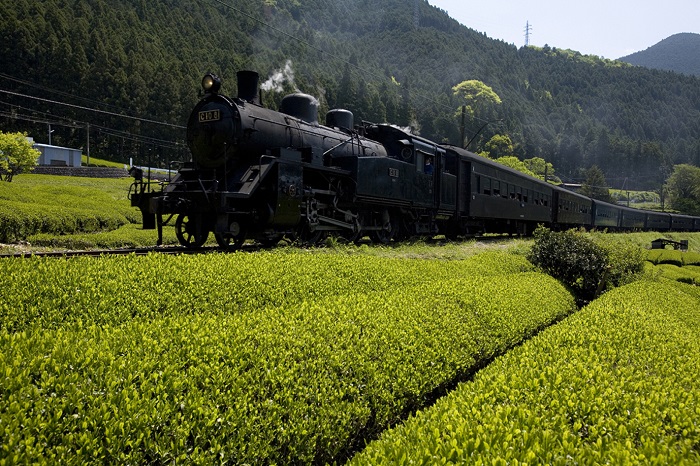 大井川鐵道  写真提供：静岡県観光協会