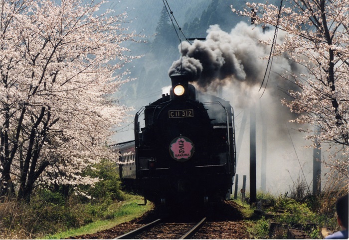 大井川鐵道  写真提供：静岡県観光協会