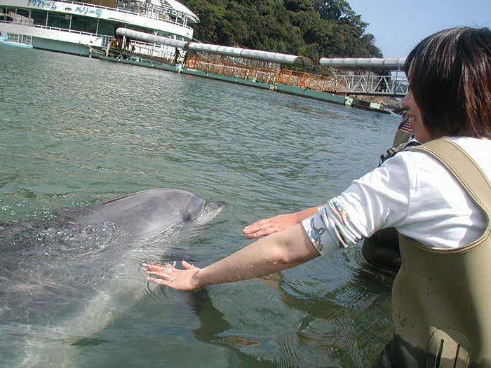 下田海中水族館