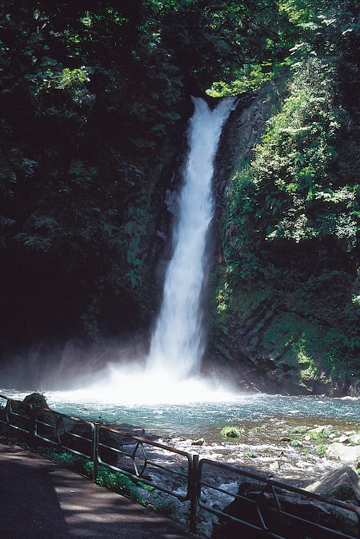 浄蓮の滝　写真提供：静岡県観光協会