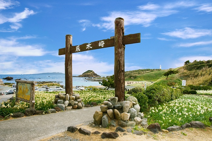 爪木崎の水仙　写真提供：静岡県観光協会