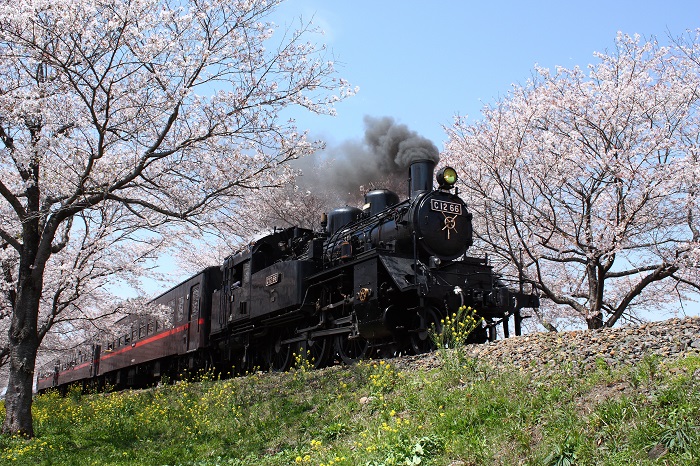 真岡鐵道SL列車