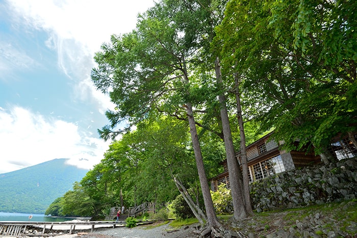 中禅寺湖畔の豊かな自然