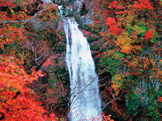 秋保大滝（10月頃）　写真提供：仙台観光国際協会