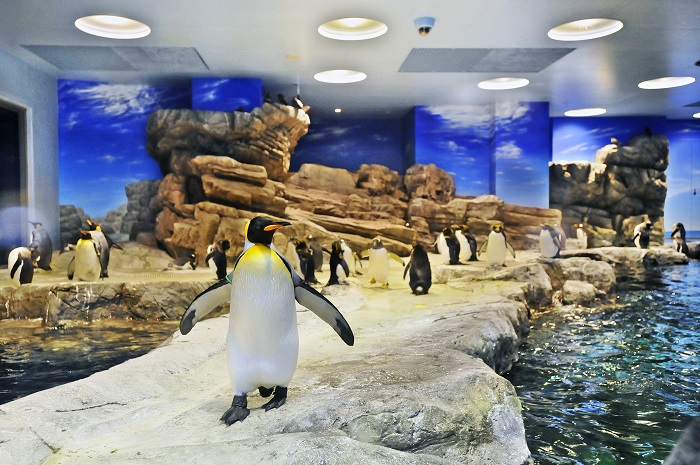 下関市立しものせき水族館 海響館