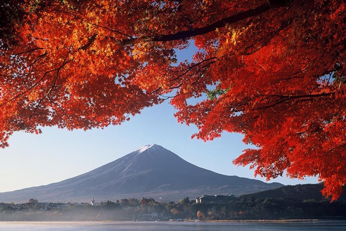 富士河口湖紅葉まつり（11月頃）　写真提供：やまなし観光推進機構