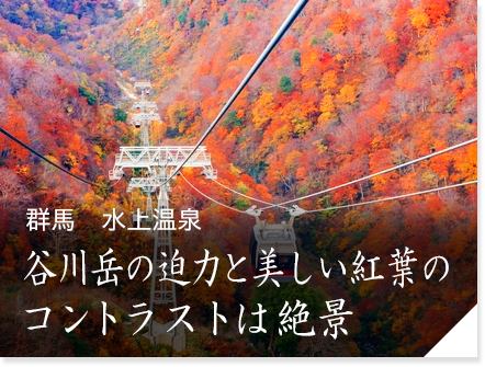 群馬　水上温泉「別邸仙寿庵」　谷川岳の迫力と美しい紅葉のコントラストは絶景