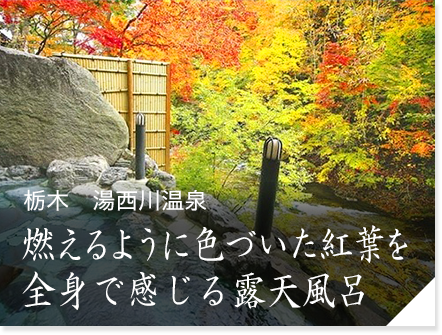 旅のプロおすすめ国内旅行No.1決定戦│近畿日本ツーリスト