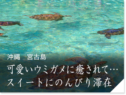 22春夏新色 竜宮へ 海亀の彫刻ミラー ガラス ステンドグラスタペストリー 壁掛け
