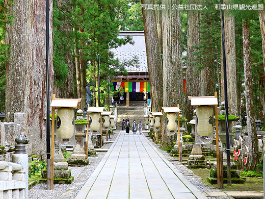 和歌山紀北クーポンキャンペーン│近畿日本ツーリスト