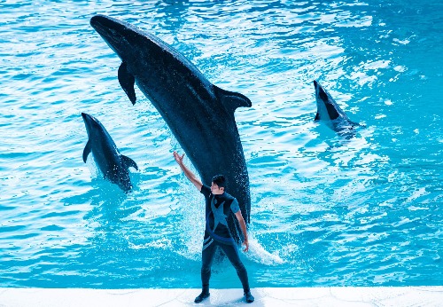 アドベンチャーワールド旅行 ツアー特集 関西発 近畿日本ツーリスト