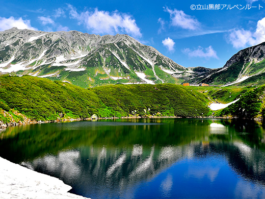 立山黒部アルペンルートツアー・旅行