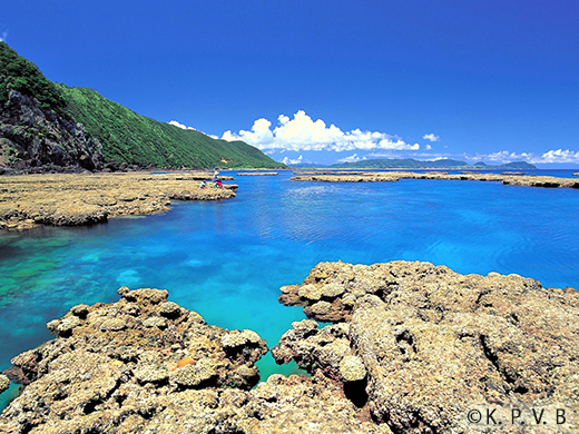 奄美群島国立公園イメージ