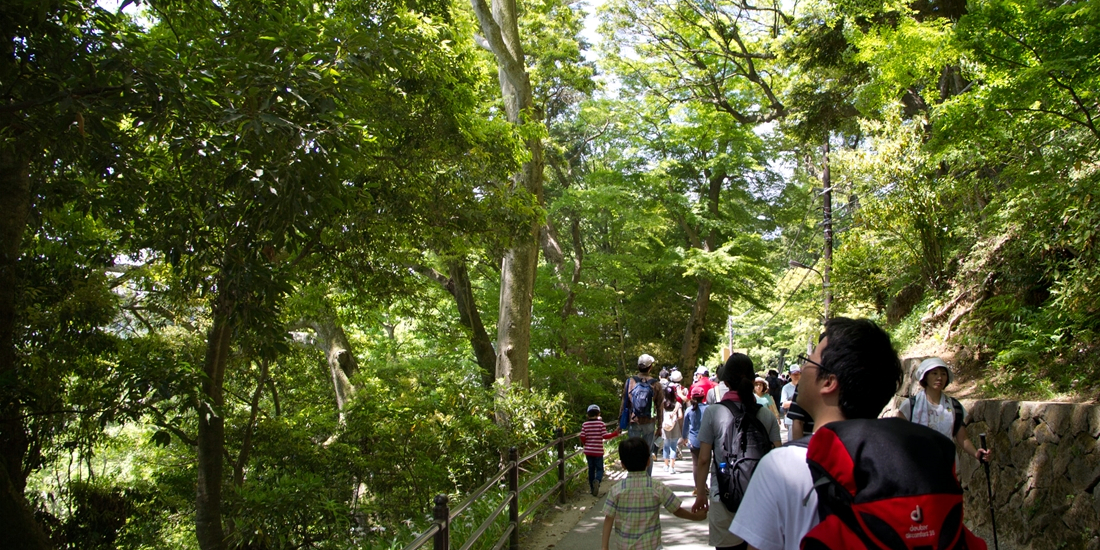 夏の高尾山登山