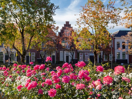 ハウステンボスの花の広場イメージ