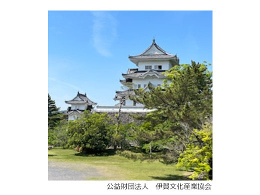 伊賀上野城のイメージ