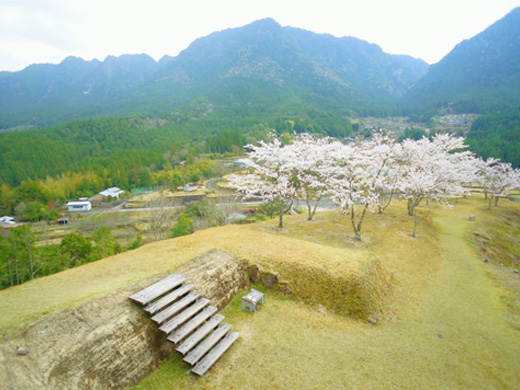 赤木城跡 画像提供：熊野市観光協会