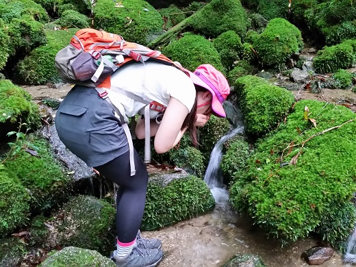 おいしい沢水