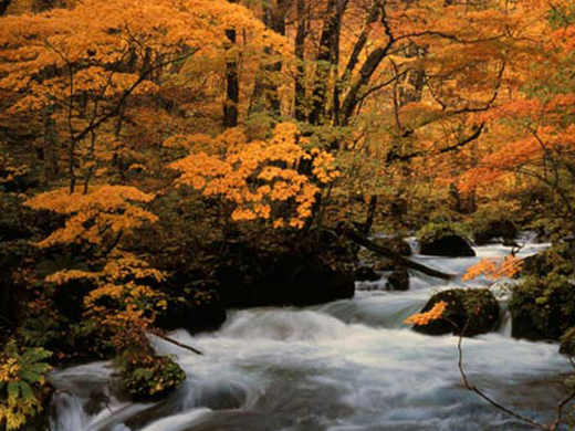 奥入瀬渓流の紅葉イメージ