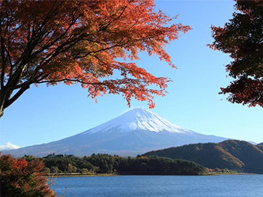 河口湖の紅葉イメージ