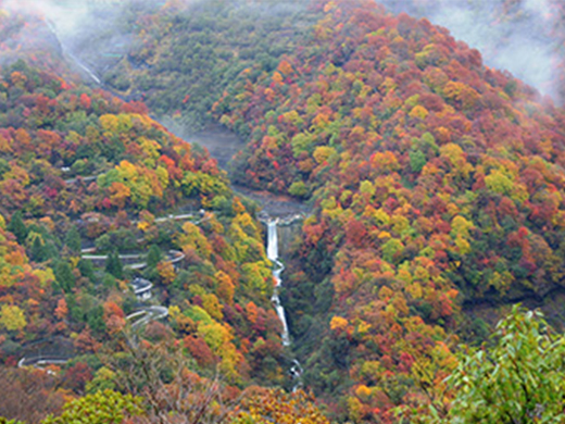 日光の紅葉イメージ