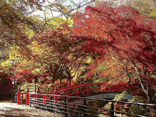 伊香保温泉の紅葉イメージ