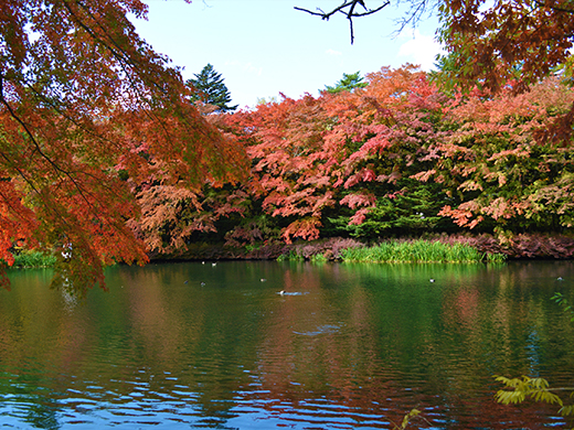 軽井沢・雲場池の紅葉イメージ