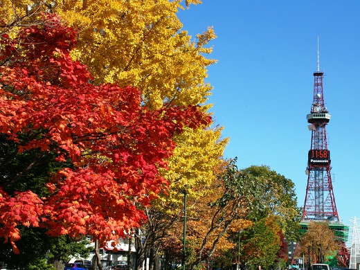 大通公園の紅葉